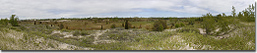 Sandbanks Provincial Park - Summer
