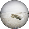 Sandbanks